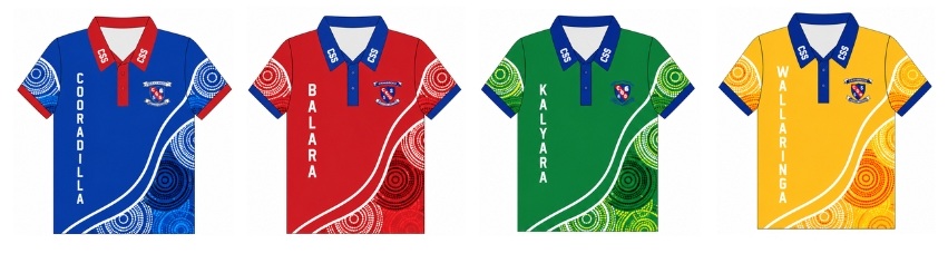 Sports Shirts.jpg